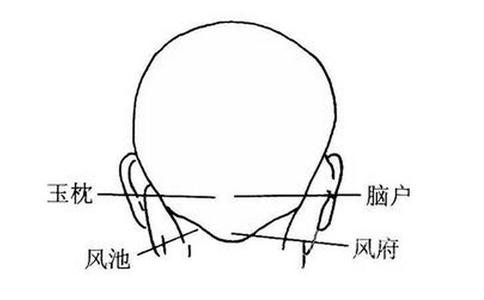 每日一穴丰隆穴,每日一穴中脘穴