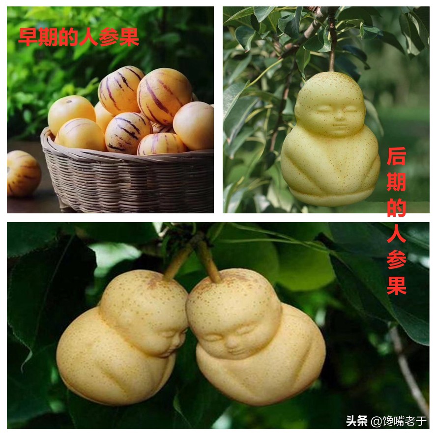 饱受差评的5种水果，没吃时很好奇，吃过后极度后悔，你吃过几种