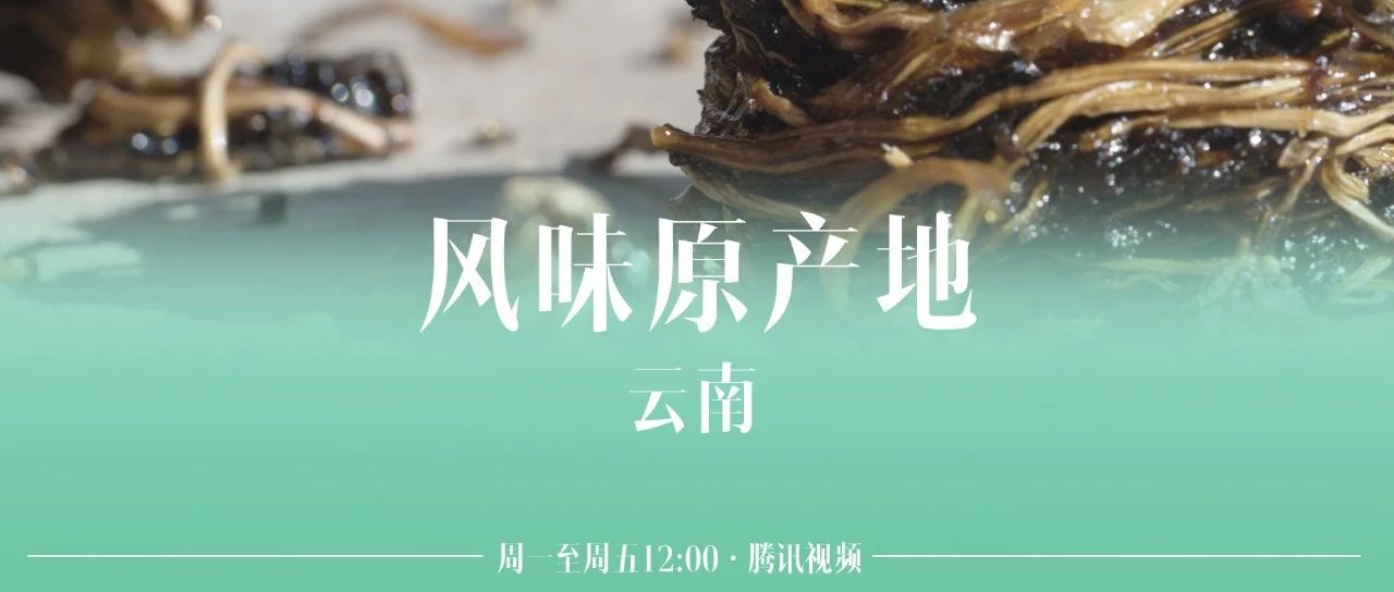 云南苦菜萝卜,苦菜和萝卜缨