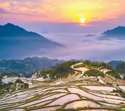 郑州三批次民办高中录取分数线,郑州民办大学录取分数线