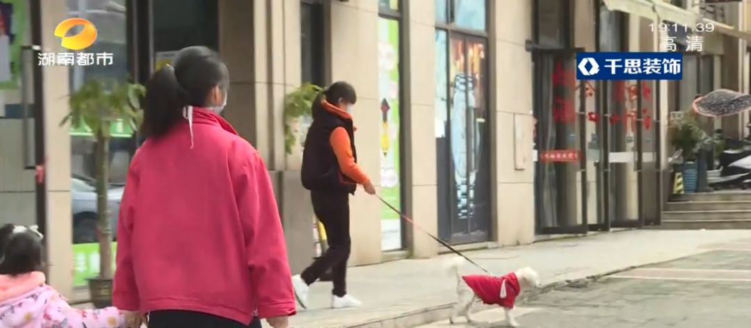湖南长沙狗不拴绳撞到路人,长沙女子遛狗不牵绳被金毛咬后续