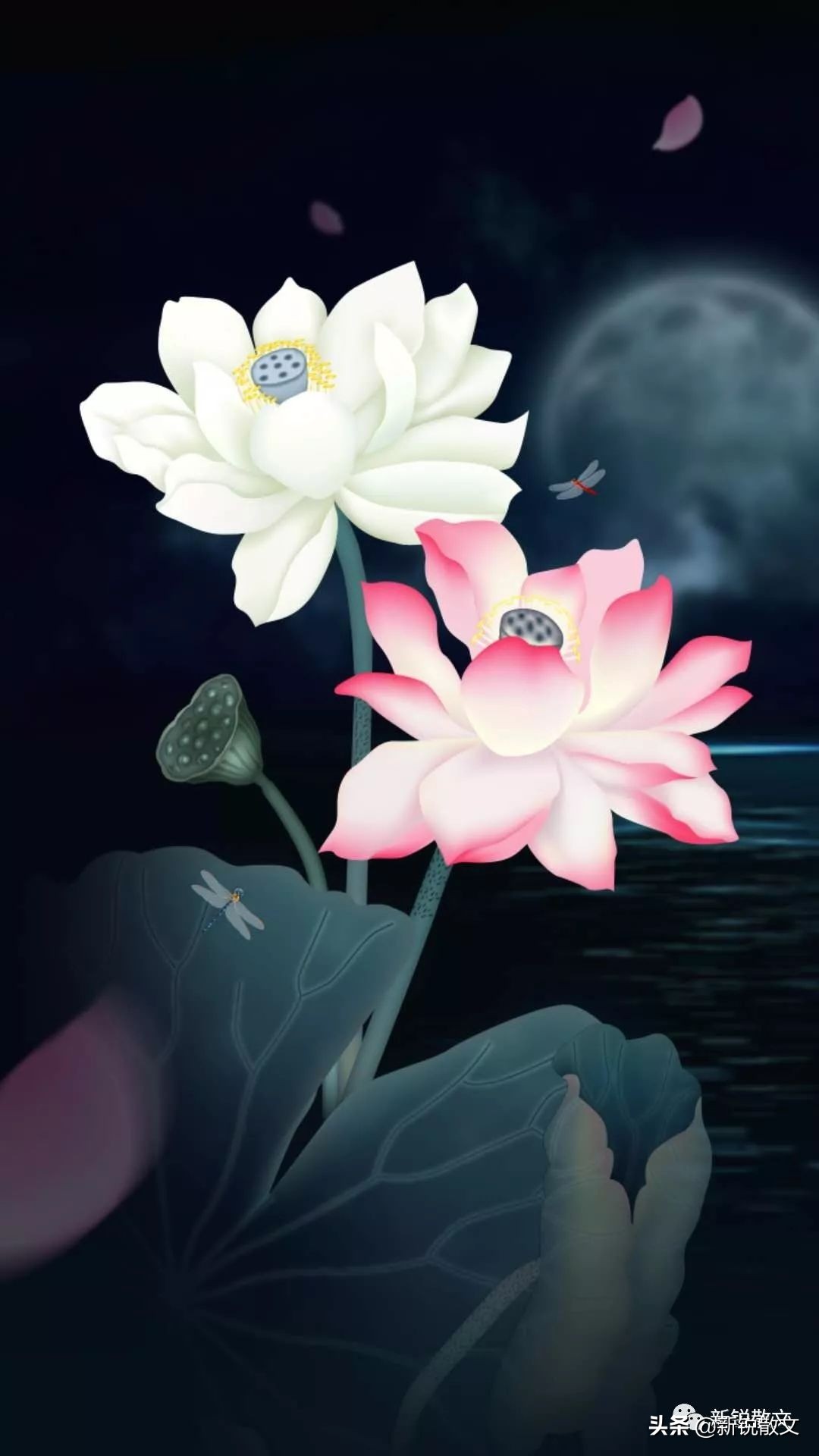 雅文学与俗文学的关系,雅俗文学的嬗变