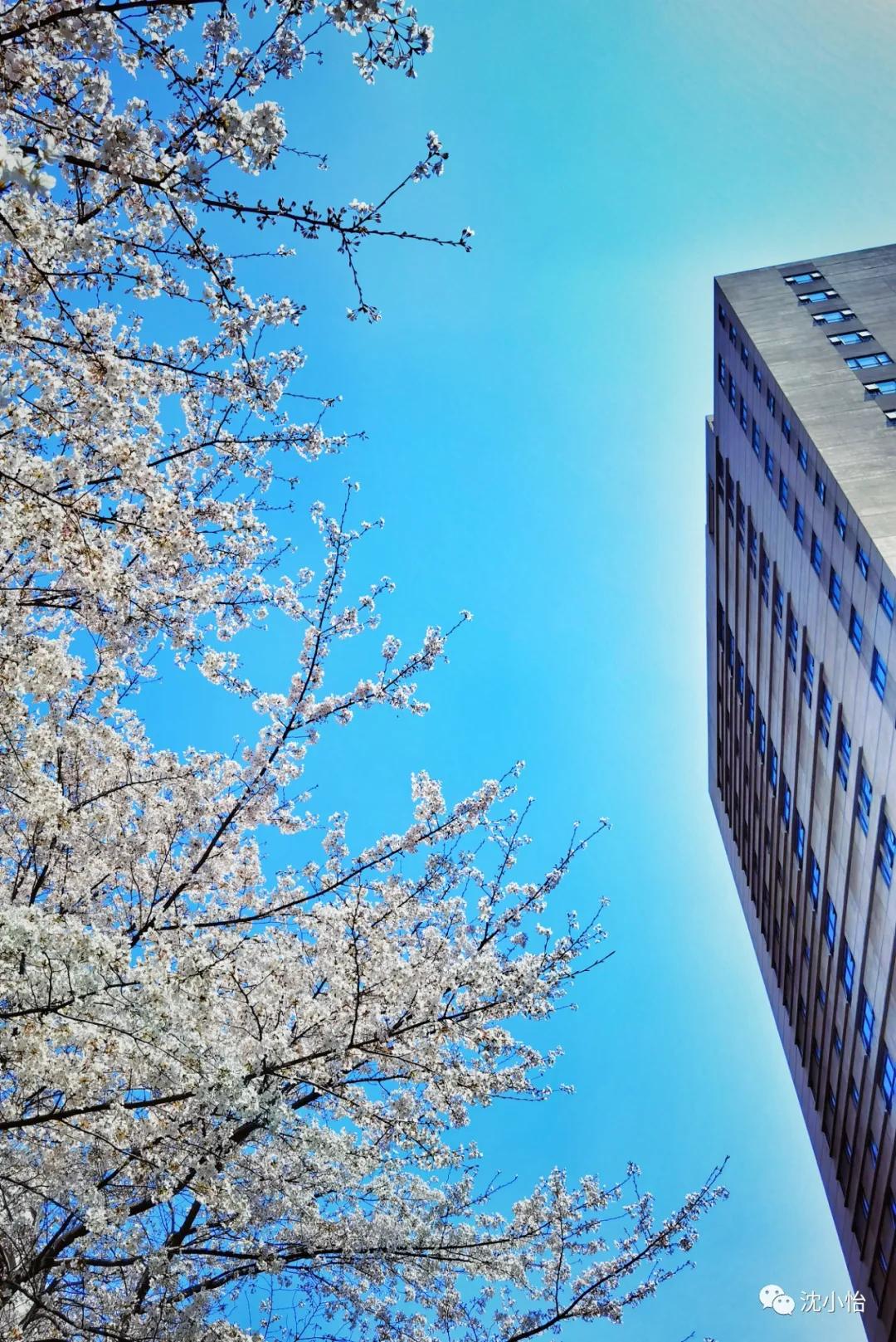 离死亡最近的一次是什么感觉,离死亡很近是什么感受