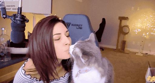 猫狗不能吃米吗,猫狗不能吃人类调料吗