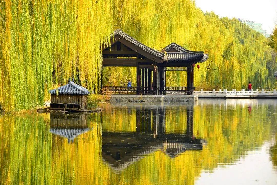 2017年北京市优美河湖,我市4条河湖入选省美丽河湖