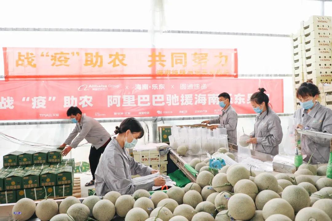 几天吃光6万吨滞销农产品，淘宝吃货：很抱歉以这样的方式出名