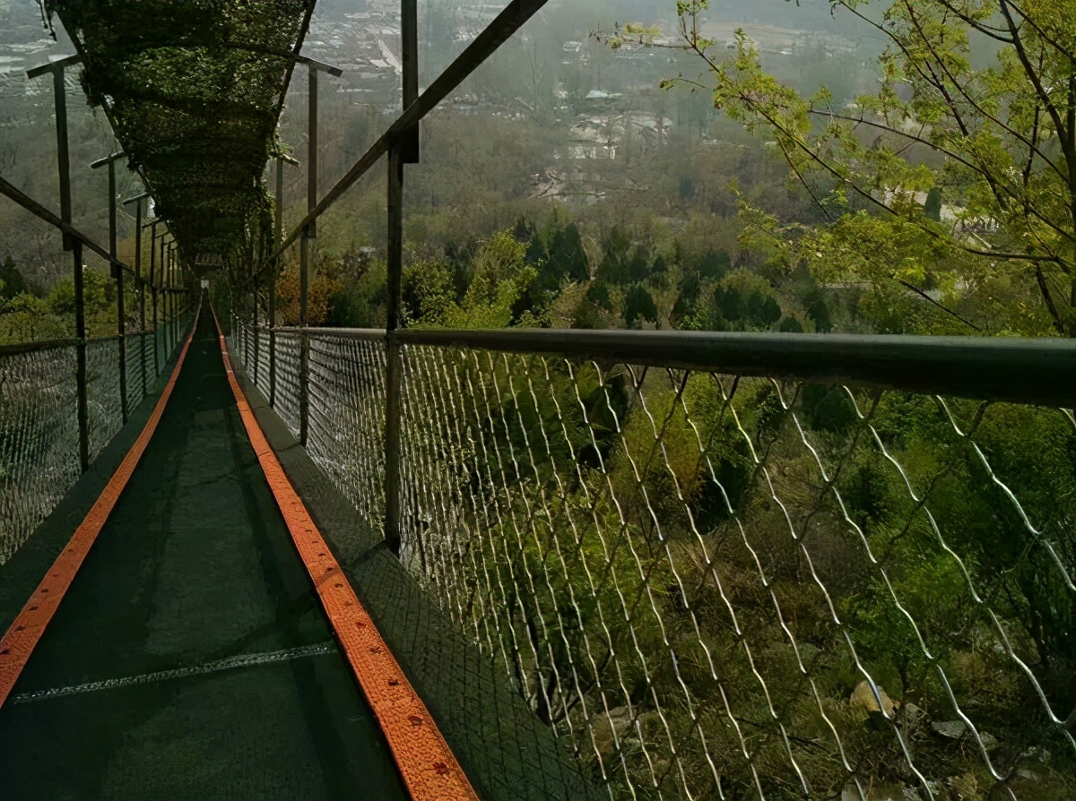 抢抢抢！五一狂欢就来墨子古街，4重福利等你来！