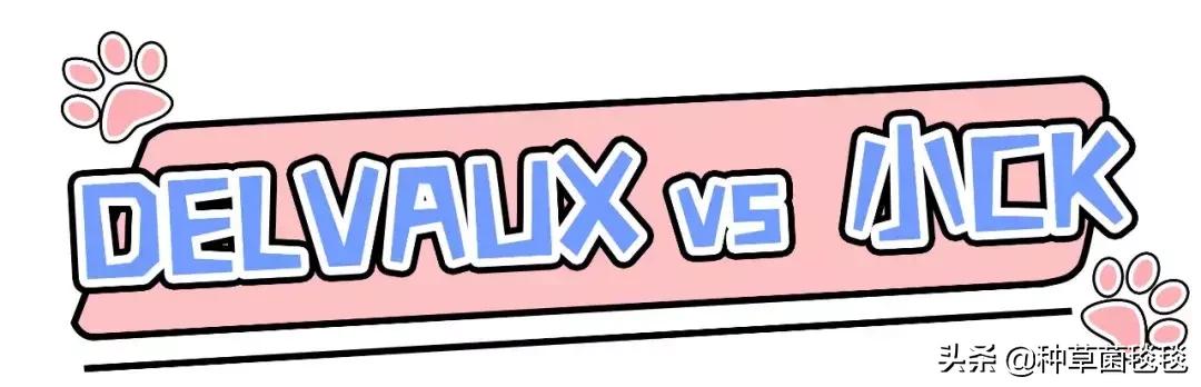 穷就不要买奢侈品,低调款大牌包包有哪些牌子