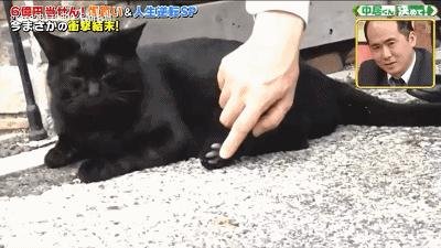 日本大叔买彩票中奖6亿一夜暴富,日本大叔买彩票中了6亿日元