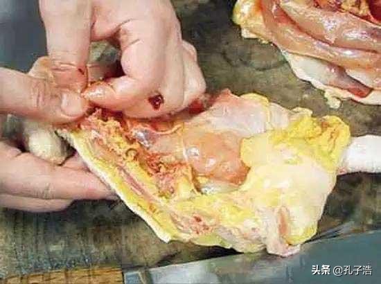 厨师的汤,厨师的汤怎么熬