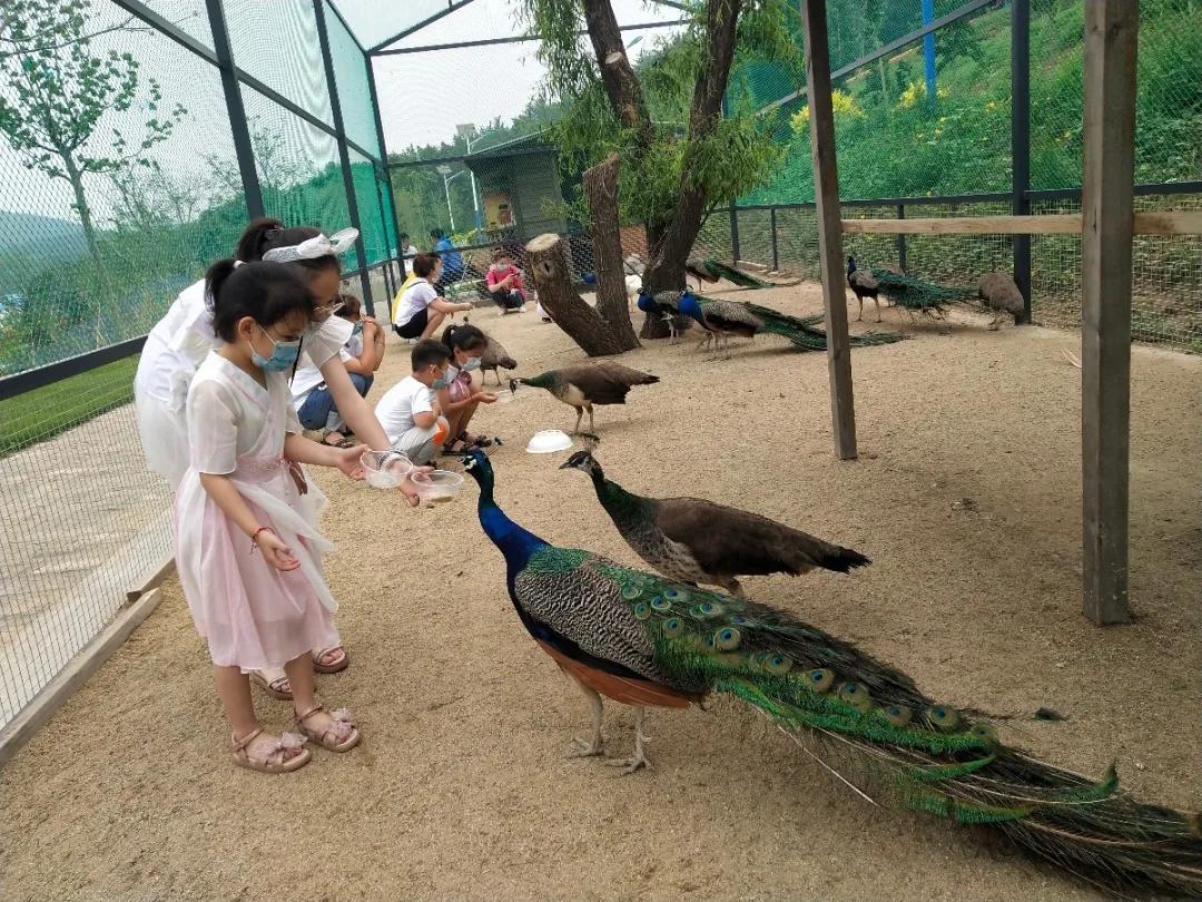 7月旅顺游玩,7月旅顺游玩去处