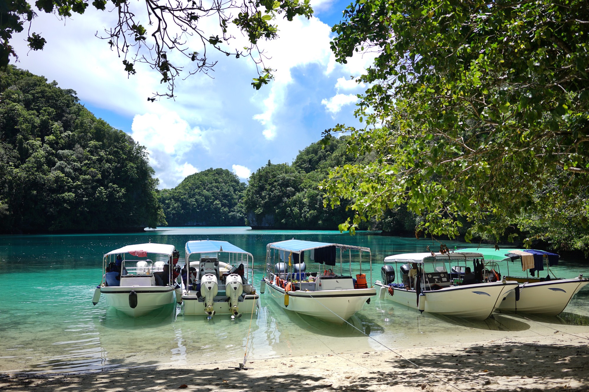 一定是特别的缘分——帕劳，再遇见「周若雪Patty」·上