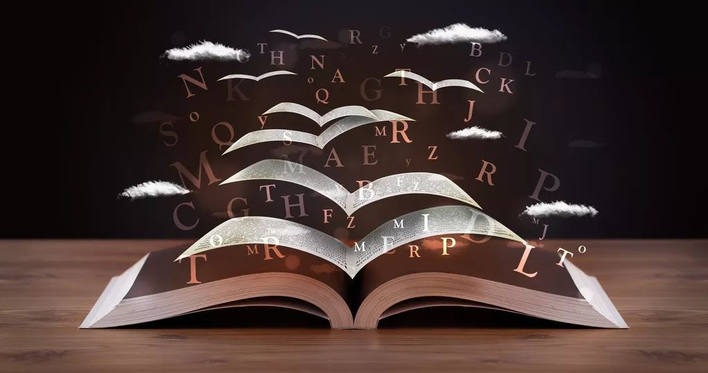 最热英语词,2019英语热门词语