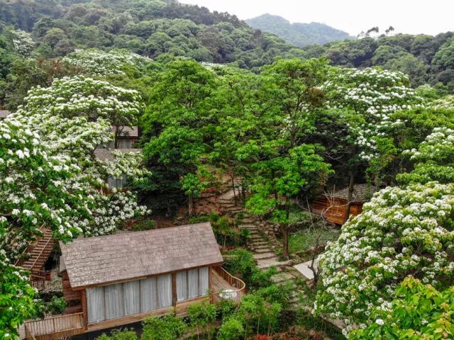 春节广州周边温泉游攻略,自由行广州温泉旅游攻略