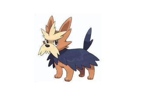 精灵宝可梦所有技能图鉴,宝可梦图鉴79只精灵