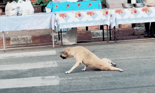 保暖鞋黑科技零下30度穿户外,太空保暖鞋