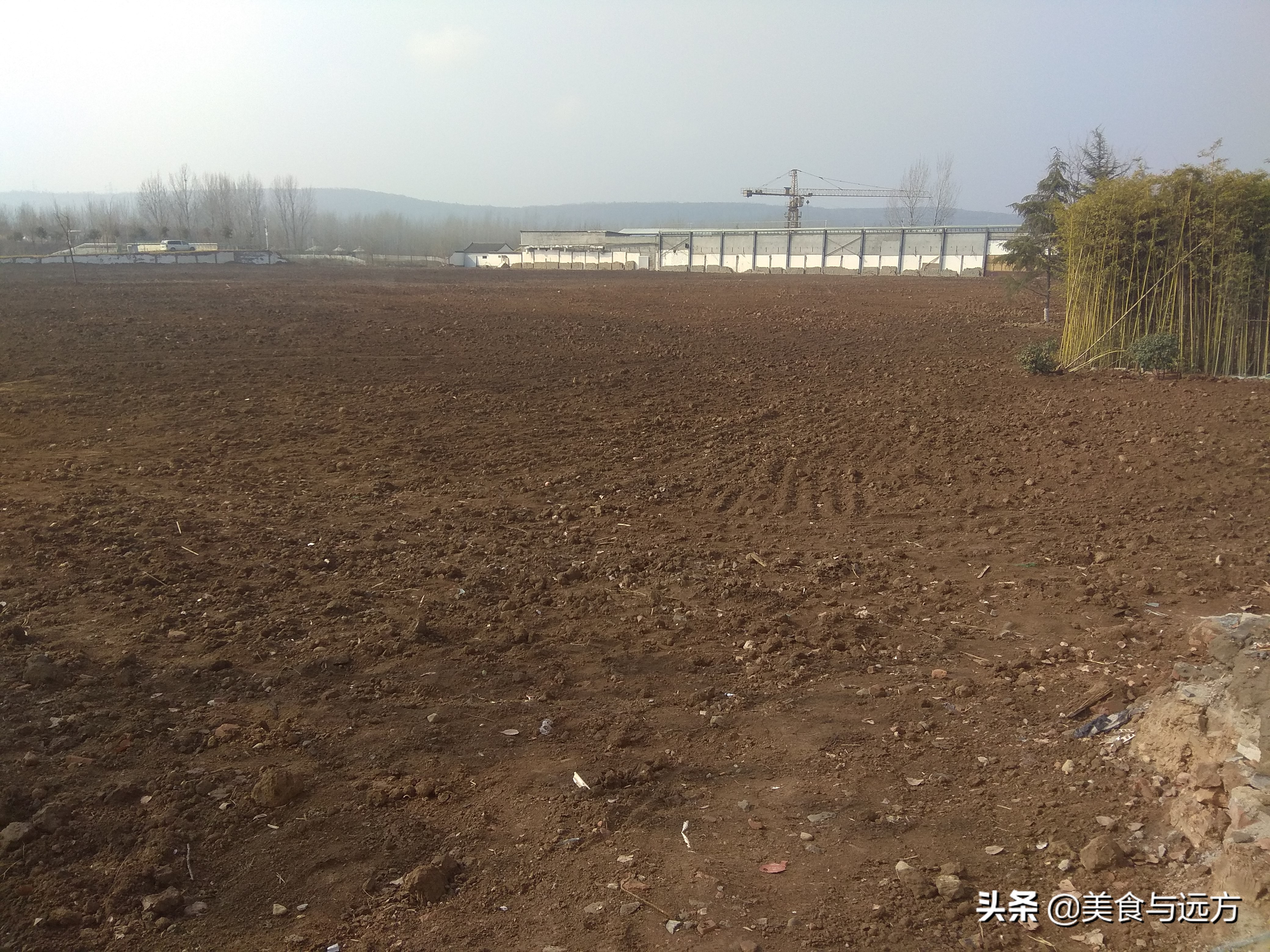 南横线上曾经有个盛农园,如今却是一片死气