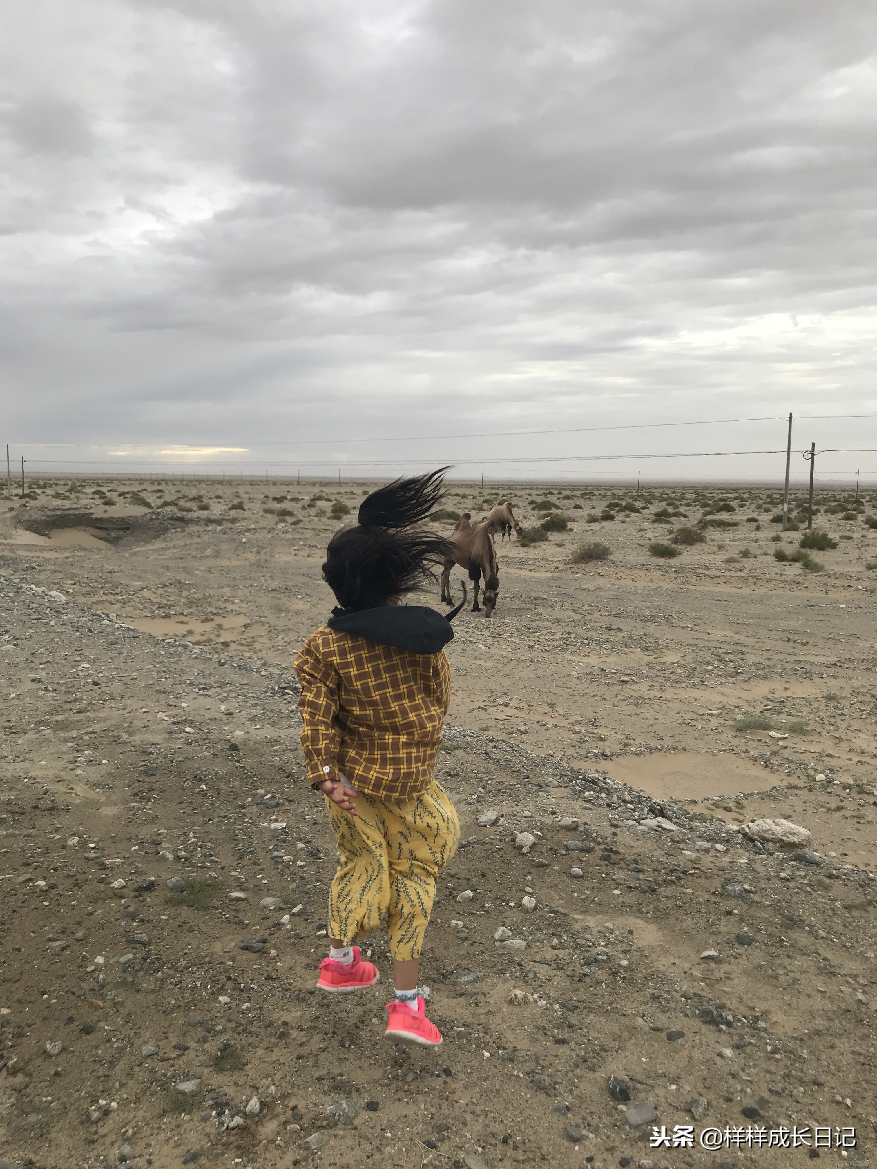 最新版新藏线叶城拉萨骑行攻略,219新藏线自驾游从叶城出发