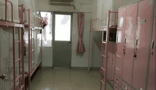 升学，深圳最牛民校如何刺痛几万家长的心？