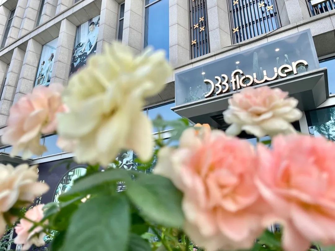 花店吸引人的经营模式,怎样经营一家花店零基础