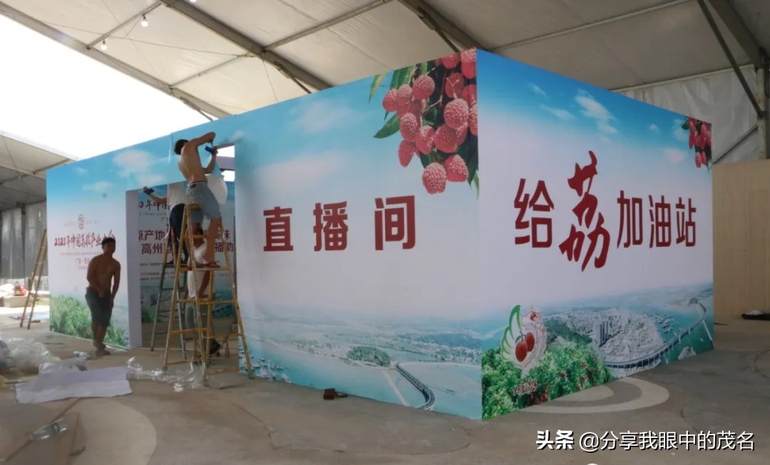 茂名荔枝大会,茂名市520荔枝产业大会