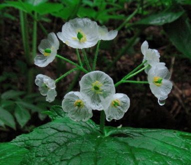 20岁才恍然大悟要自己爱自己,二十岁应该要学会爱自己