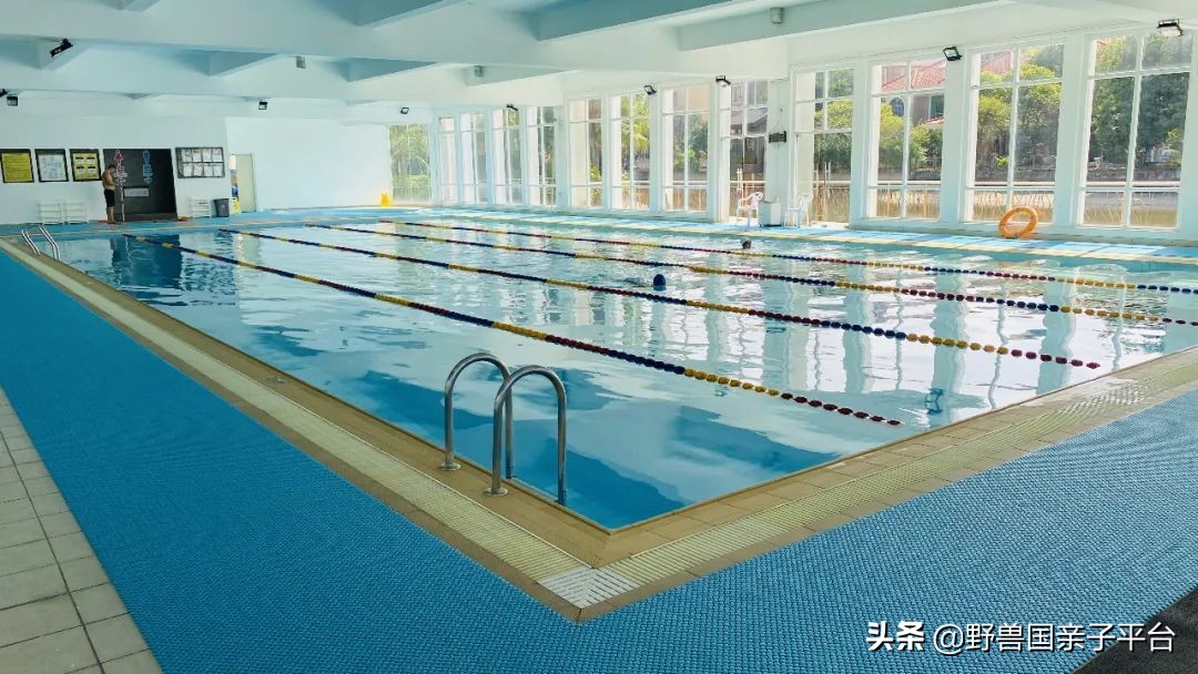 哪里学游泳最便宜又好,暑假学游泳去哪里学