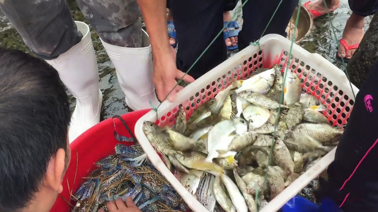 湛江最穷物价是多少,湛江物价在全国的排名