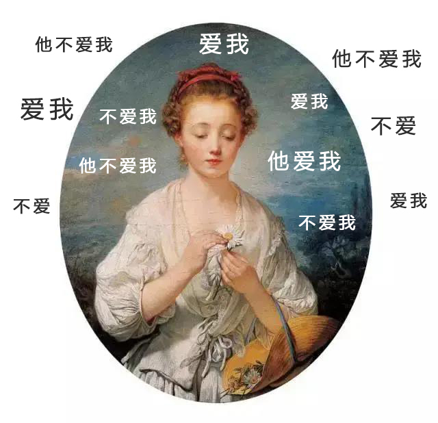 小雏菊不好的寓意,小雏菊为啥不吉利