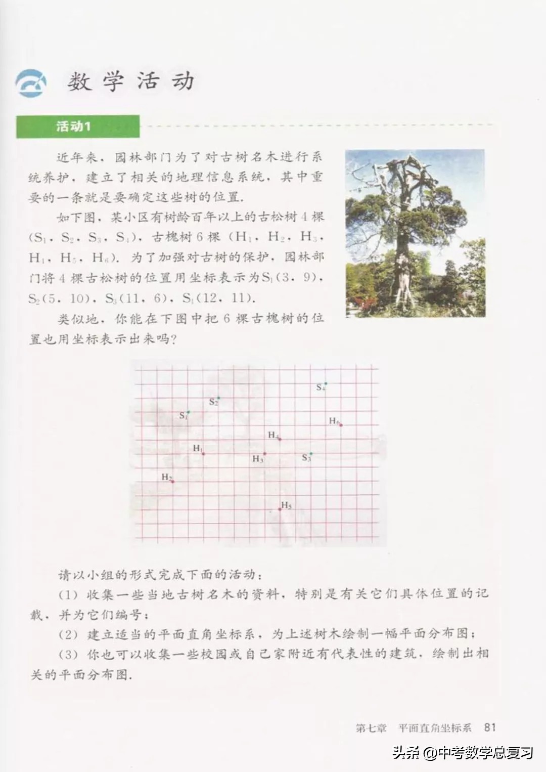 华师大版七年级下册数学电子课本,青岛版七年级下册数学课本电子书