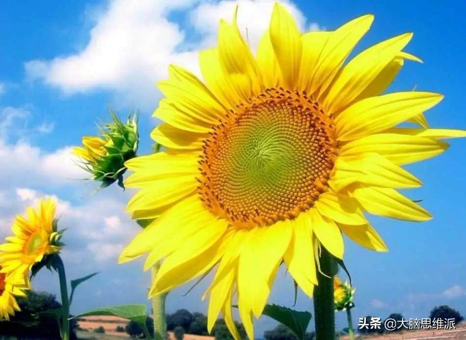 如何才能以小钱挣大钱,年轻人如何小投资赚小钱