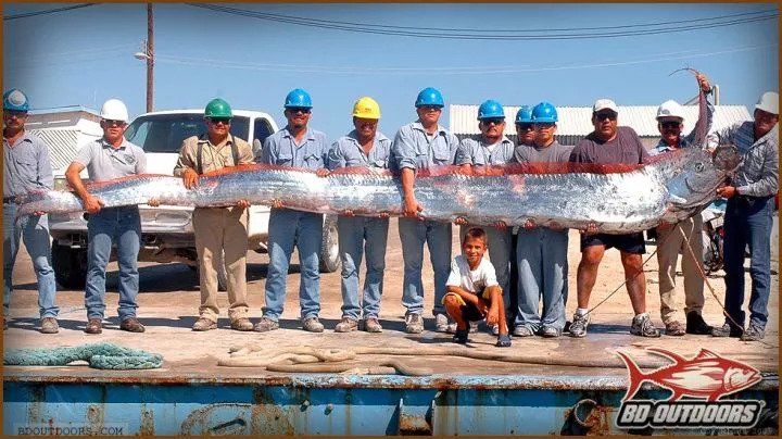 21:9的显示器有哪些强项和弱项？暗影骑士XV340CK体验告诉你