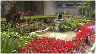 协和的园子:一座澄净心灵的医学百草园