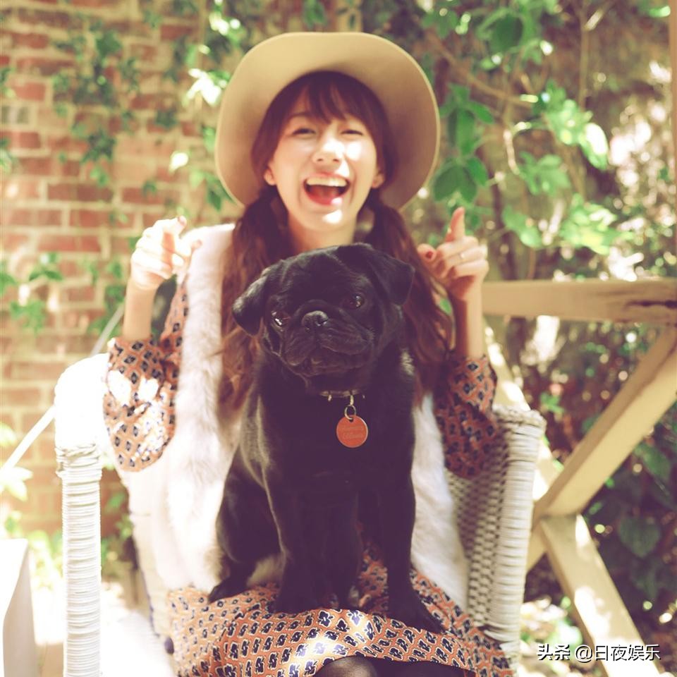 杨幂陈赫的关系,陈赫杨幂关系