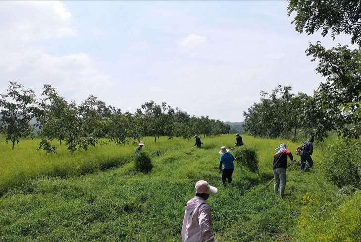 生态宜居家园风景,生态环境美丽家园
