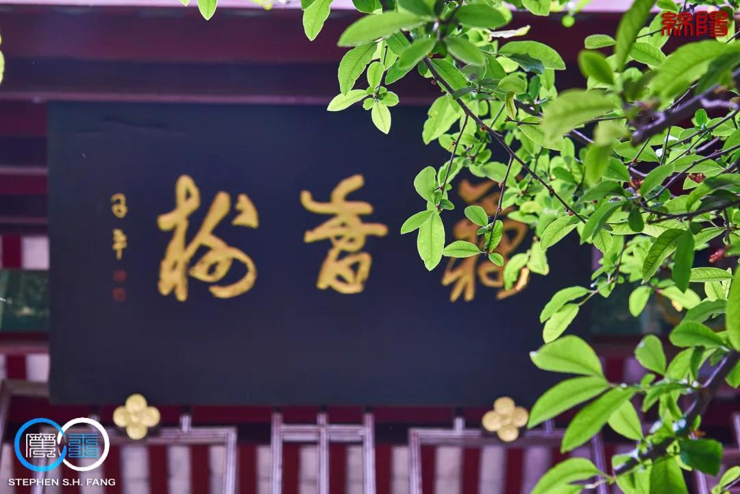 李子柒家乡成旅游景点,李子柒乡愁