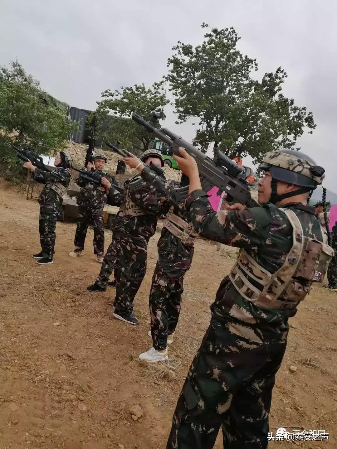 泰山百合和园简介,泰山百合和园