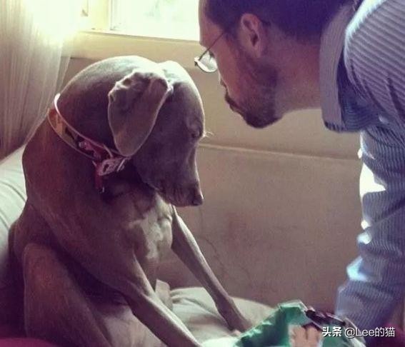 安检行李箱猫猫,机场海关抓到偷渡人员