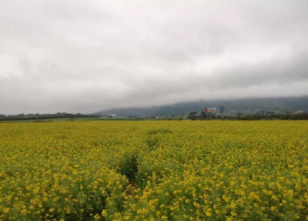 悦跑团马拉松,悦跑团报名的马拉松