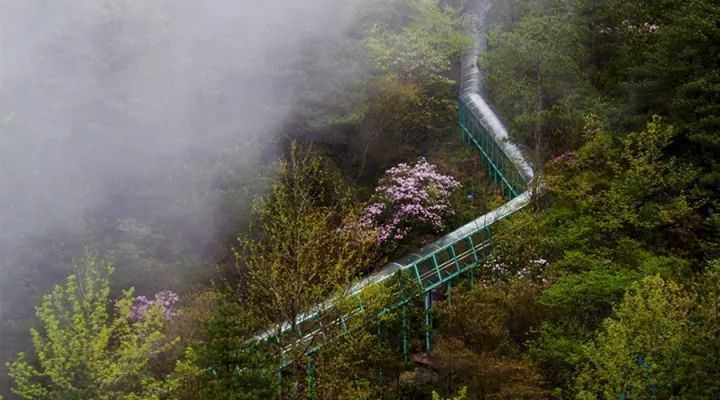 羊狮慕游玩时间,羊狮慕最新免门票