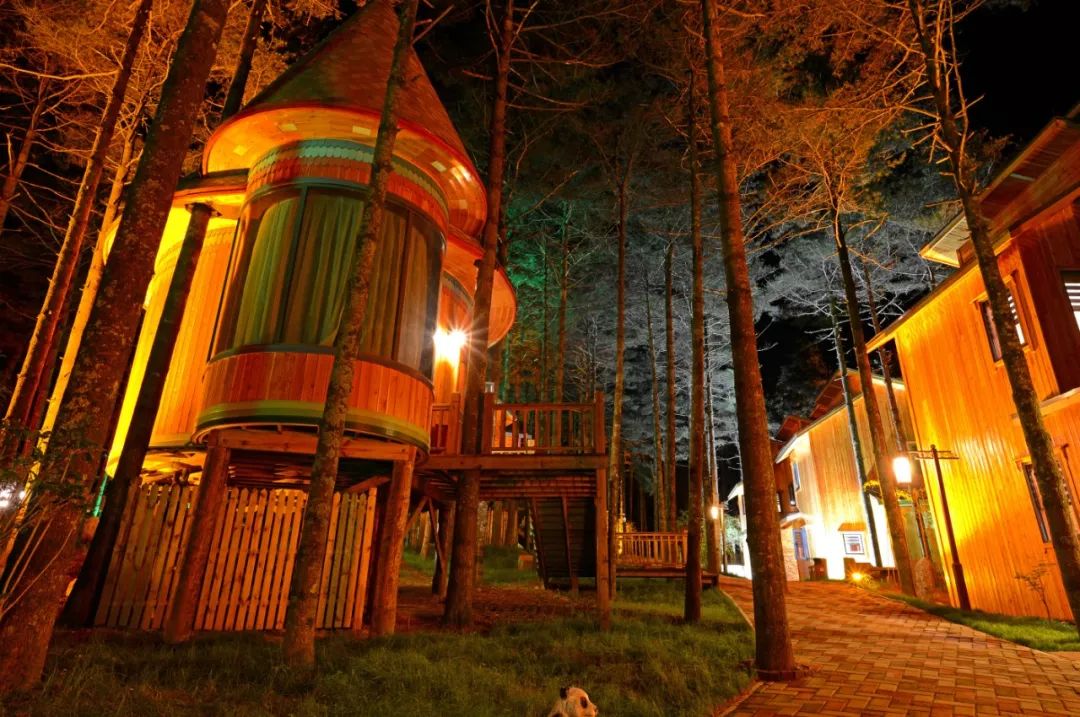 白云山景区民宿一家五口,白云山森林小屋民宿