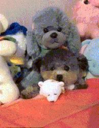 山海经中以乳为目以脐为口的怪物,山海经搞笑图片