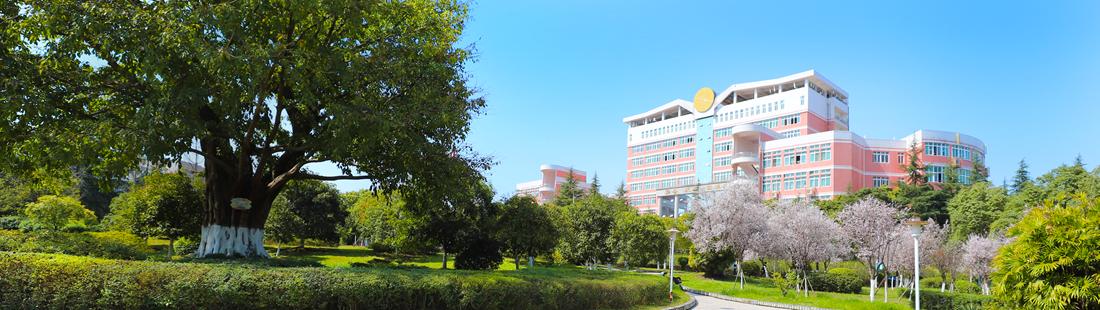 西华师大在校人数,西华师范大学本科生毕业去向