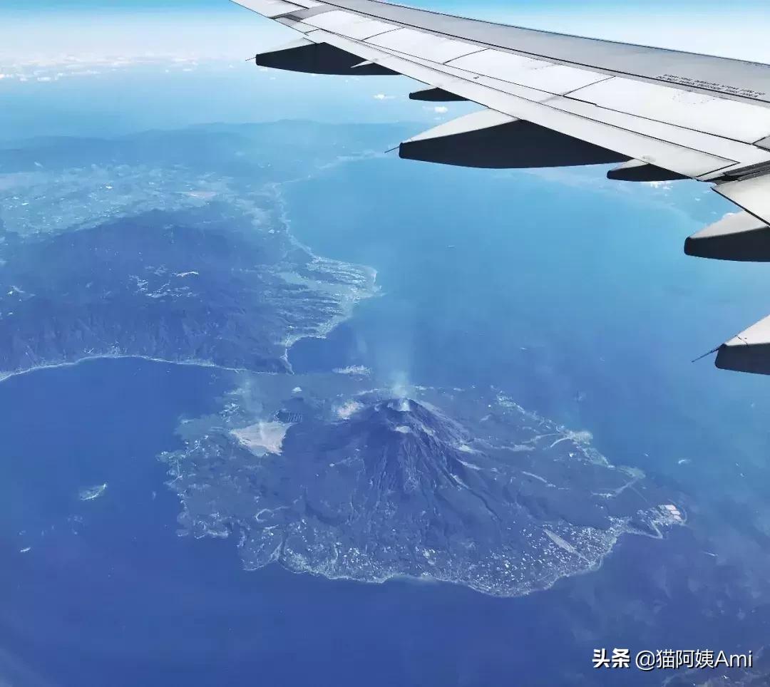 日本奈良喂小鹿时鞠躬砸到头,日本奈良神鹿公园游记