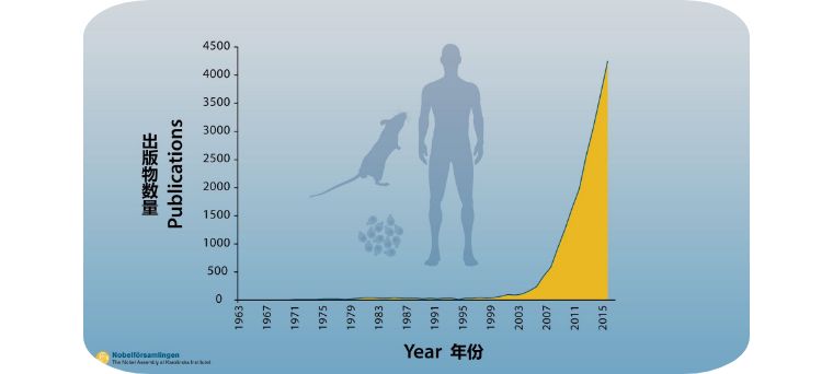 我们人体排毒系统有多强,细胞自噬对身体不好