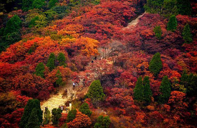 潍坊这5条颜值爆表的自驾线路，藏着美景无数，每一公里都美到极致！