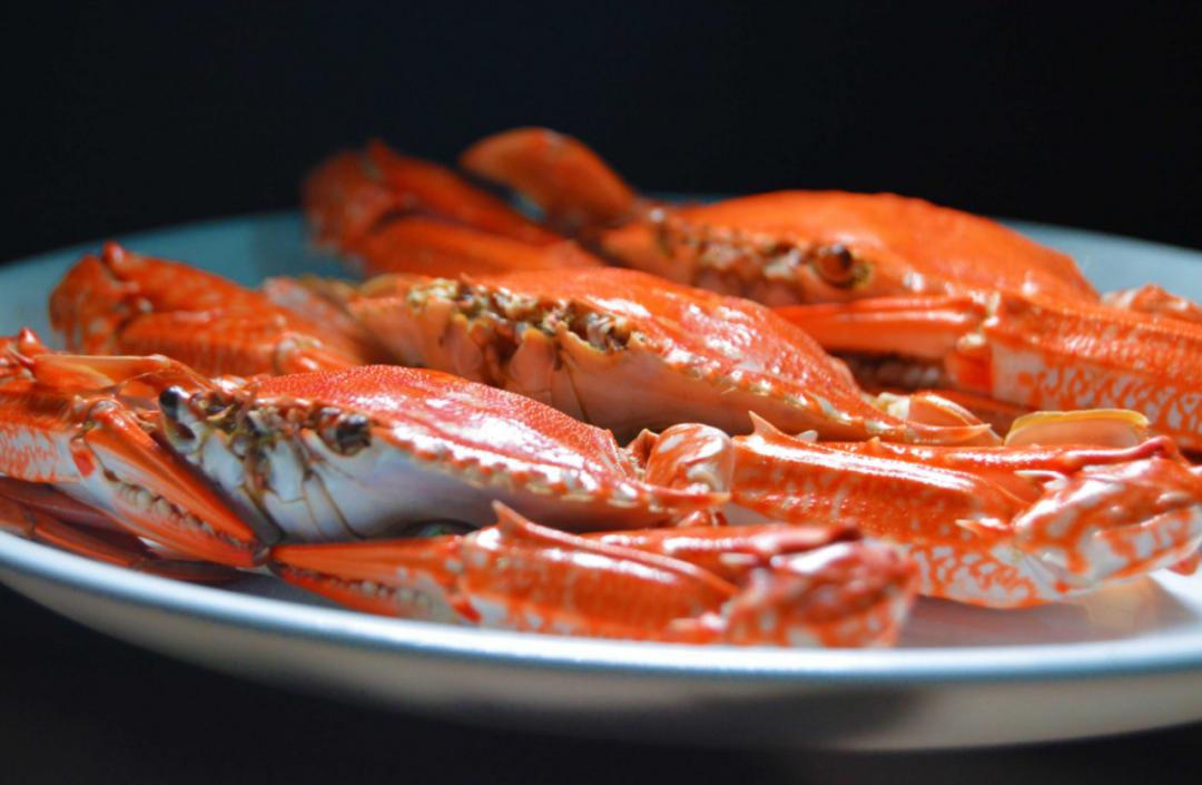 好好的螃蟹,为什么不横着走?来了解一下螃蟹界的“美味”成员