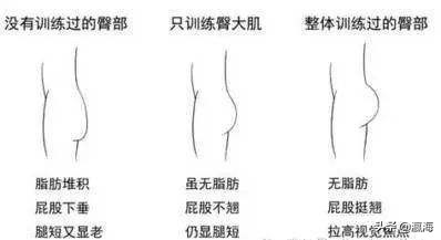 每天7分钟打造翘臀,打造迷人翘臀的臀部训练指南