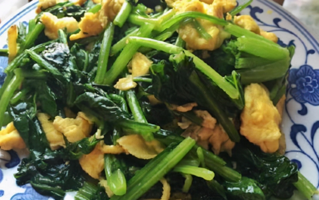 32款精品菜肴推荐荤素搭配合理,几款美味的菜肴味道很好方便易学