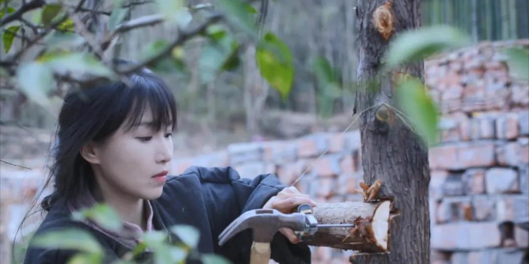 番茄锅酸甜番茄,超浓郁的番茄火锅吃一次就爱上了